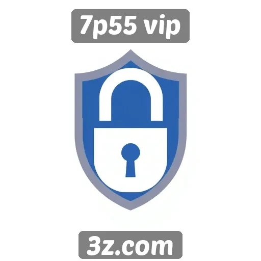 Dados sobre a segurança no site 7p55 vip